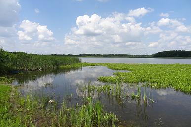 Pishchanske Lake