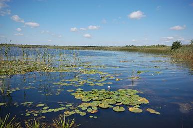 Lake Ozertse